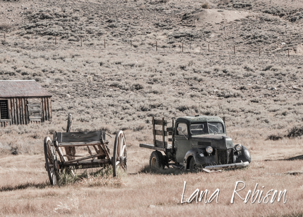 Bodie 2012DSC_9013