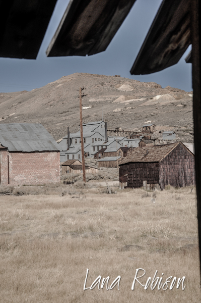 Bodie 2012DSC_9131