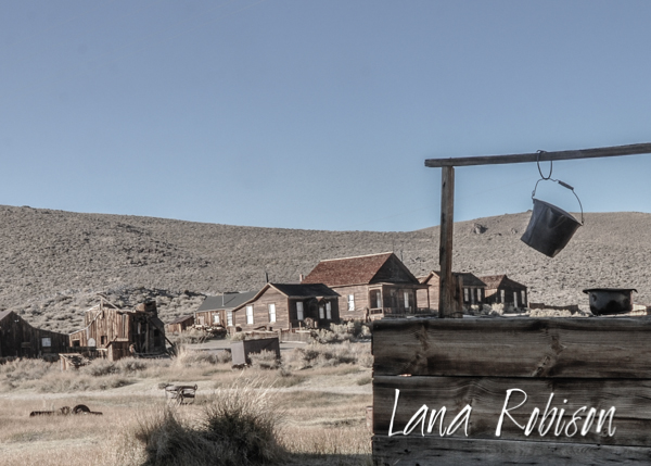 Bodie 2012DSC_9173