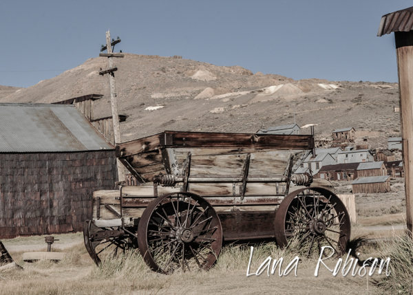 Bodie 2012DSC_9179