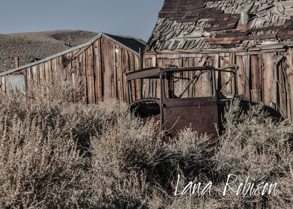 Bodie 2012DSC_9184